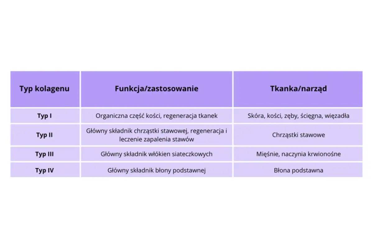 Tabela przedstawia różne **kolagen typy**: I (kości, skóra), II (chrząstki stawowe), III (mięśnie) i IV (błony).
