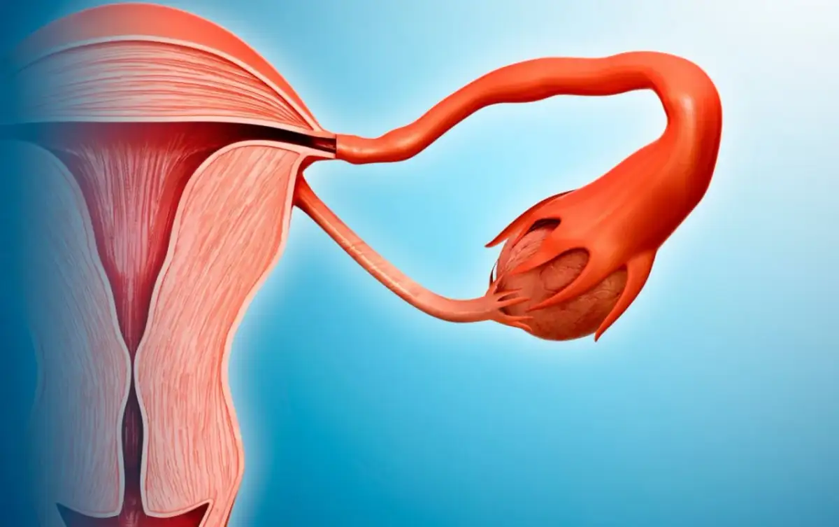 Sono-HSG: Badanie drożności jajowodów jak się przygotować i czy boli?