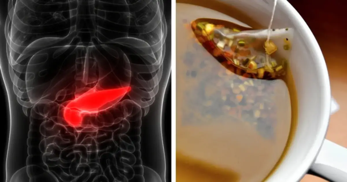 Jakie herbaty na trzustkę pomogą w poprawie trawienia i zdrowia?