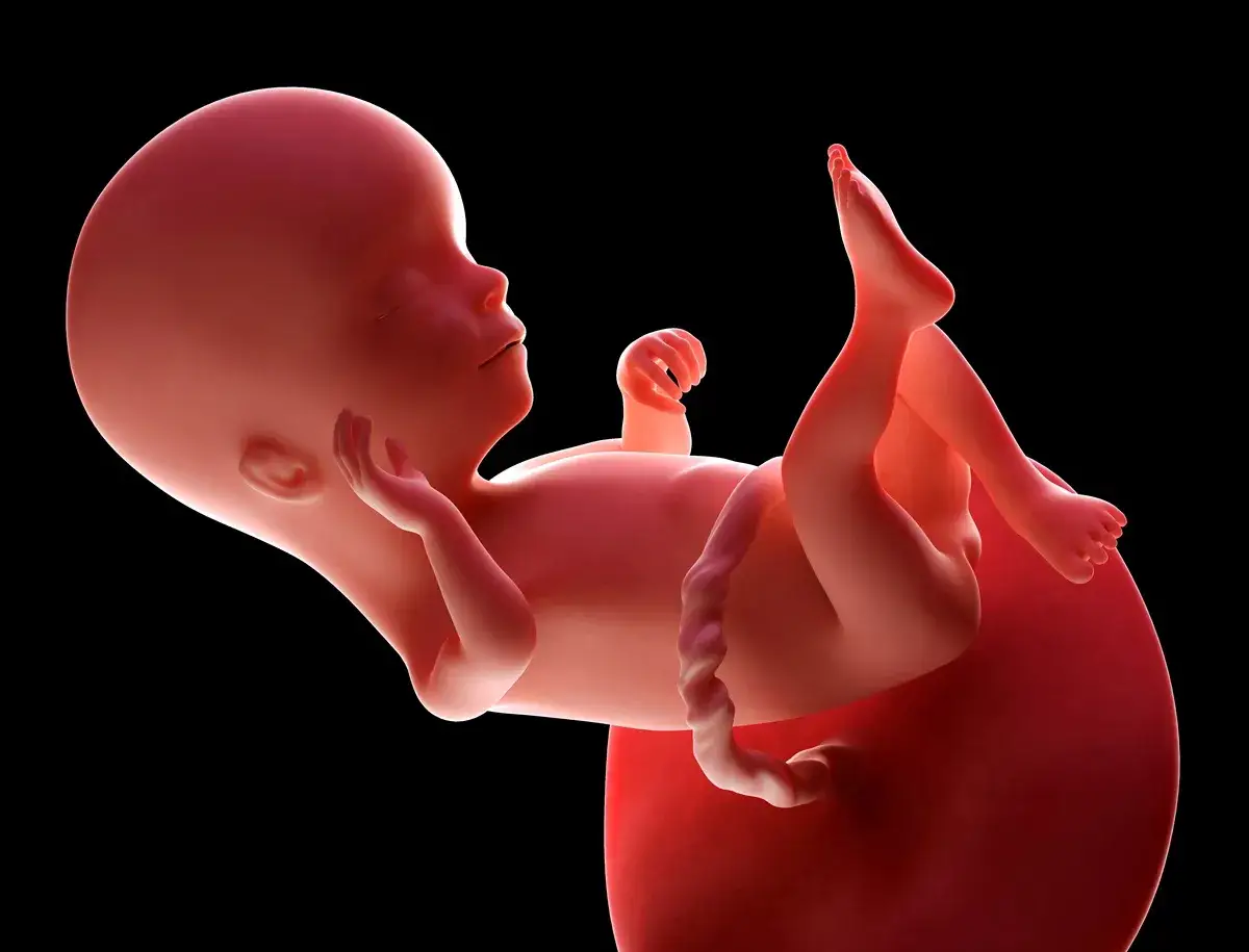 Jak wygląda dziecko w 16 tygodniu ciąży? Zaskakujące zmiany i rozwój