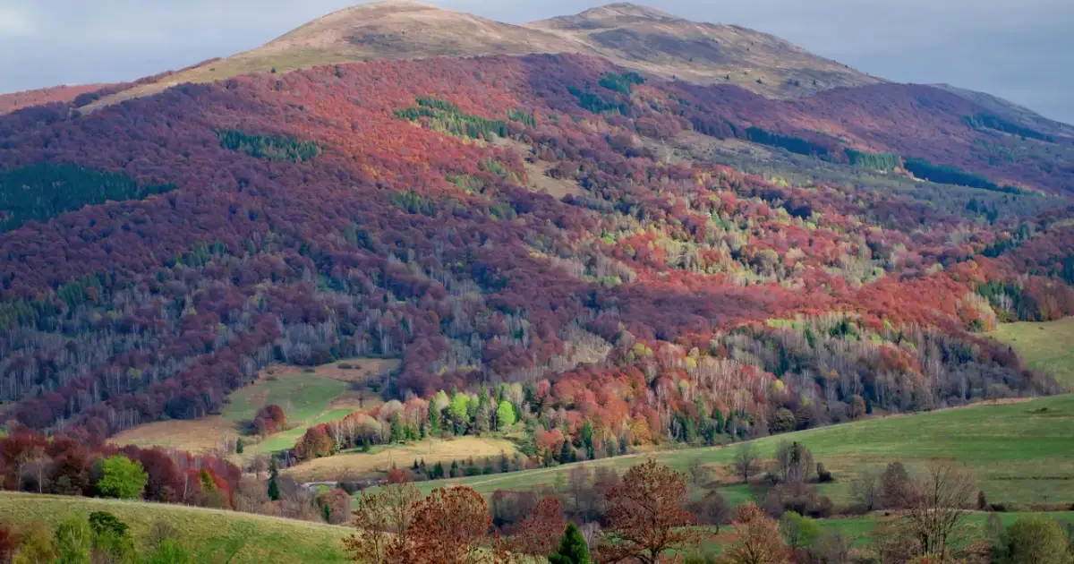 Czy w Bieszczadach jest bezpiecznie? Prawda o bezpieczeństwie turystów