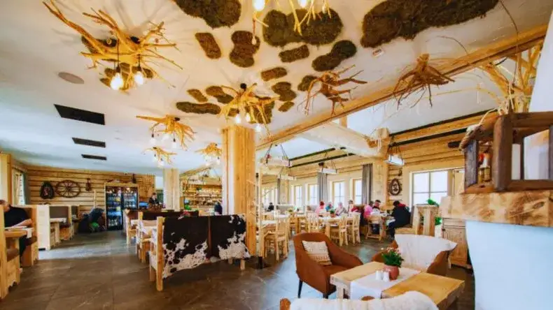 Gdzie zjeść w Solinie? Top 5 restauracji nad Jeziorem Solińskim