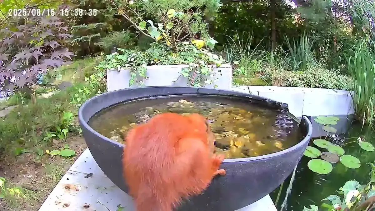 Kolory szlaków PTTK: obalamy mit trudności i uczymy czytać znaki