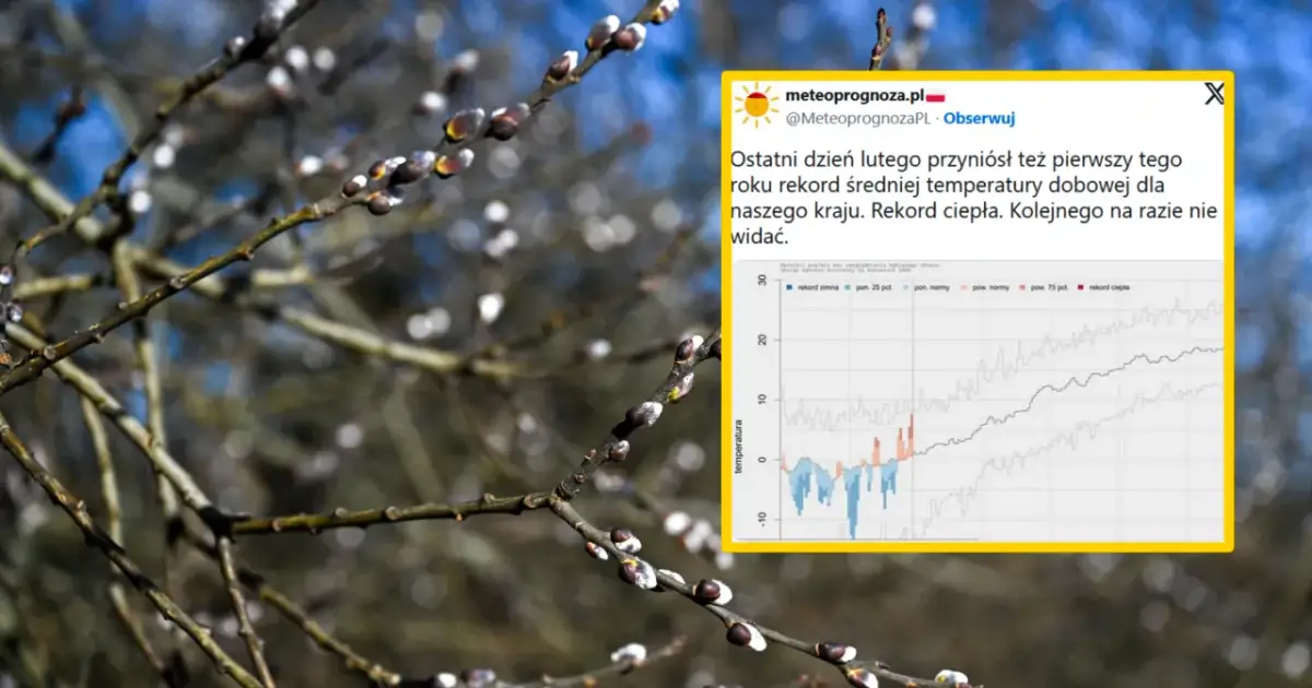 Średnia temperatura w Polsce: Jak zmieniała się na przestrzeni lat?