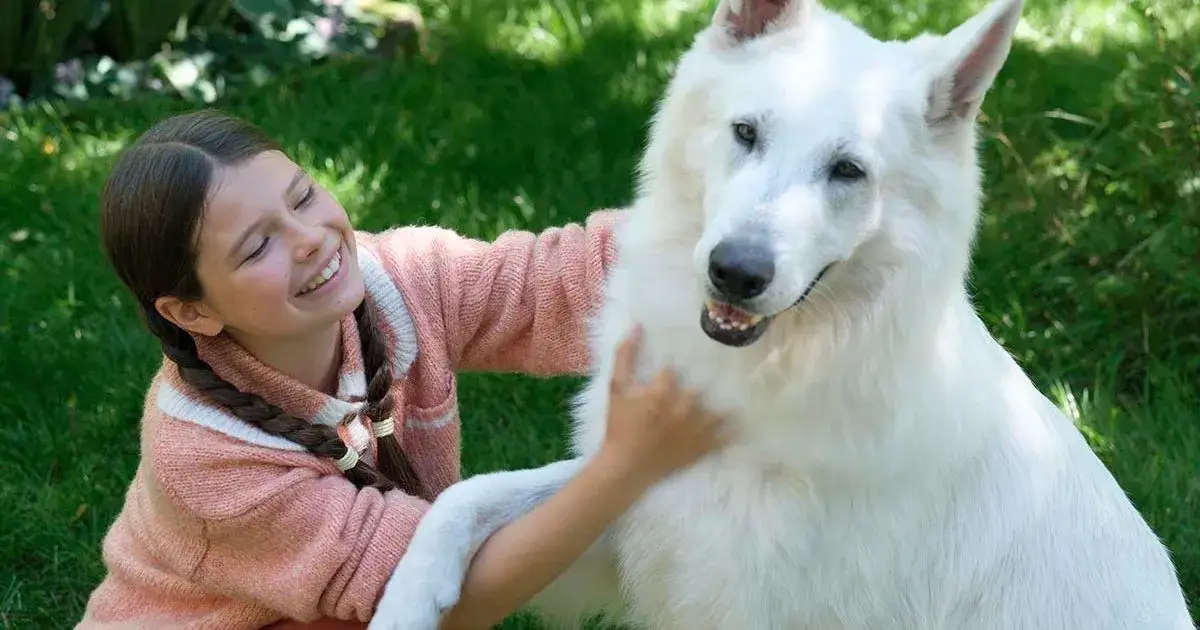 Autor książki o psie który jeździł koleją - Roman Pisarski i jego historia