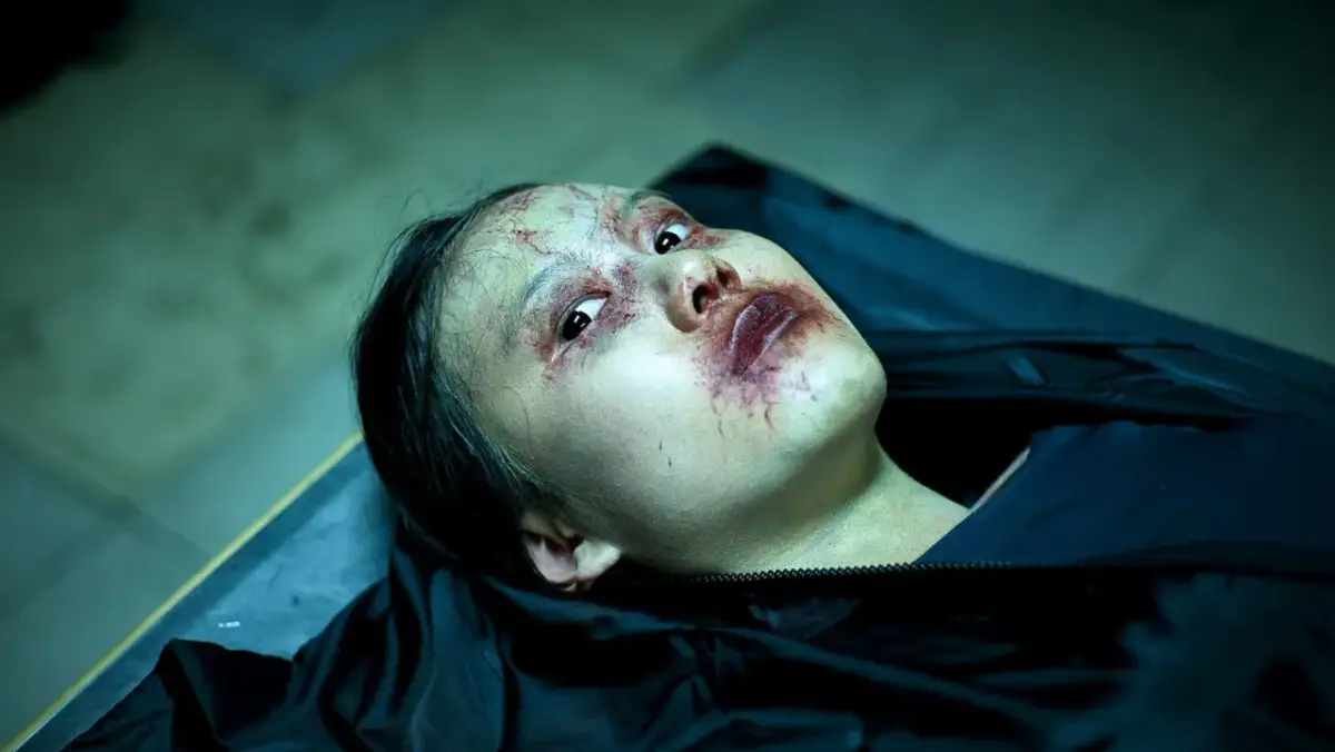 CDA film Śmiertelna Partytura - odkryj mroczne tajemnice slashera