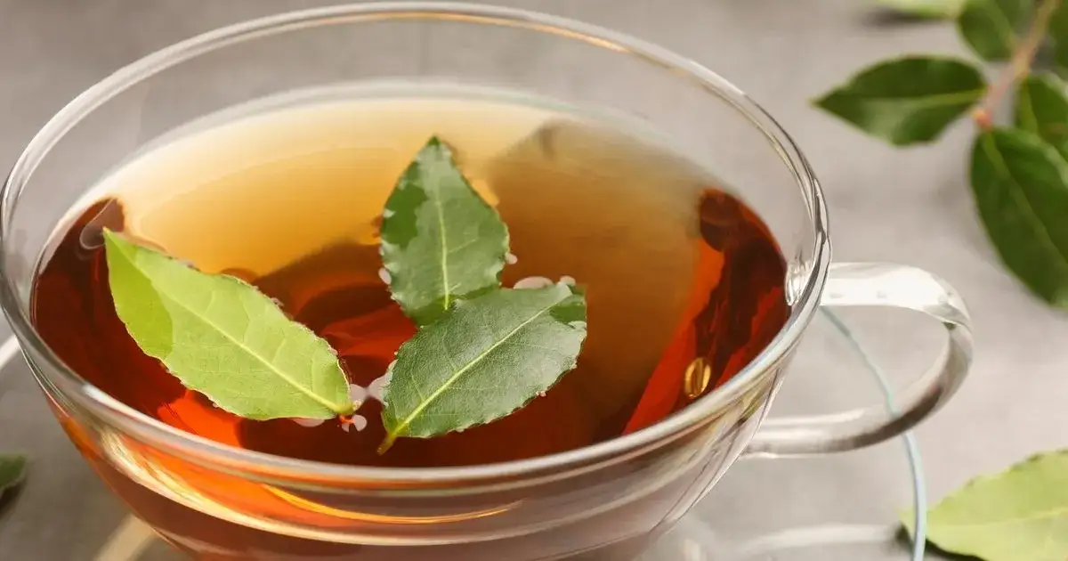 Jak zrobić napar z liści laurowych i cieszyć się jego zdrowotnymi właściwościami