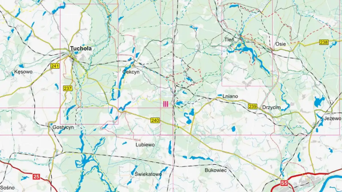 Bory Tucholskie: Trasy rowerowe. Planuj idealną wyprawę!