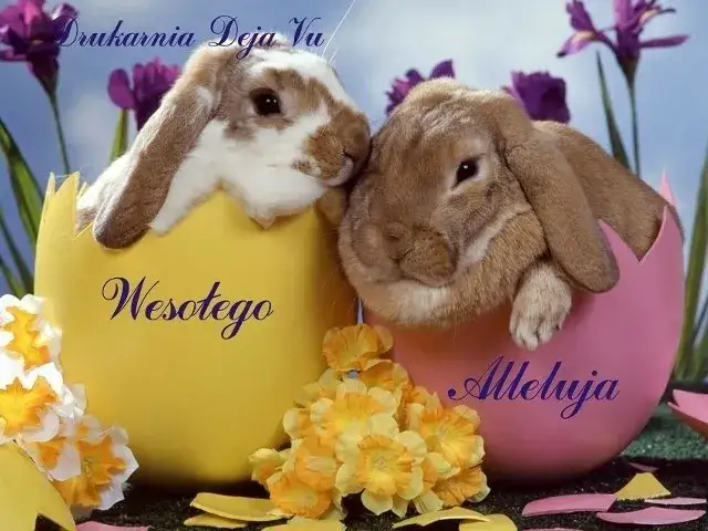 Idealne życzenia wielkanocne na Facebooka? Gotowe teksty i grafiki!