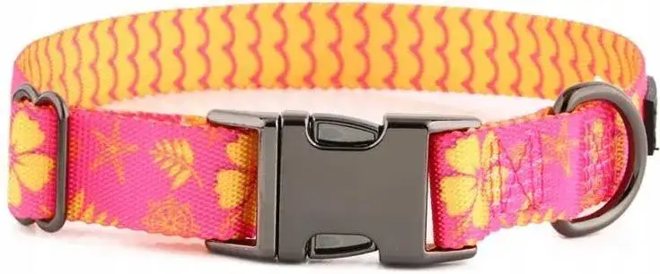 Jak obroża dla maltańczyka może zapewnić komfort i bezpieczeństwo?