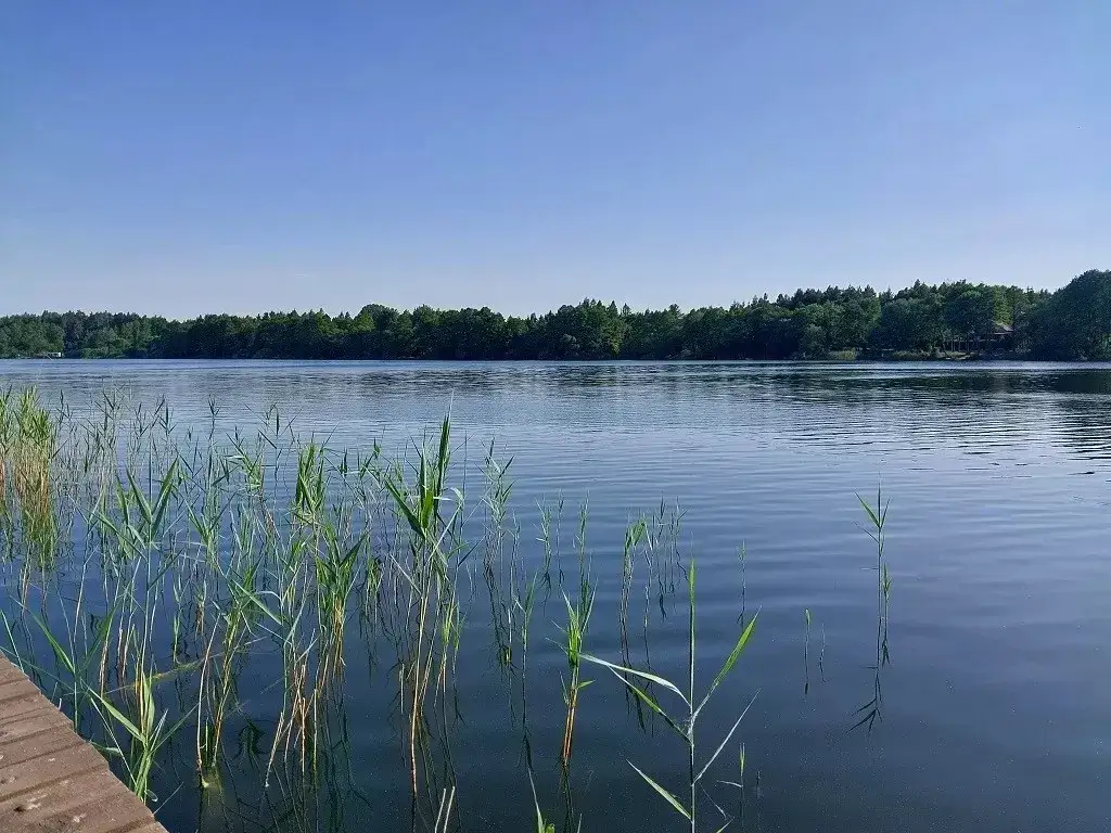 Działka nad jeziorem na Dolnym Śląsku: Przewodnik po inwestycji marzeń