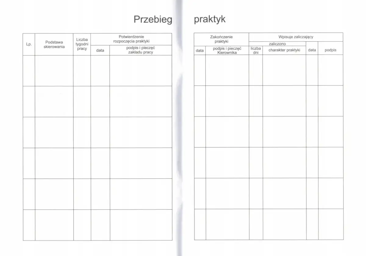 Jak wypełnić dziennik praktyk opiekun w żłobku - uniknij błędów