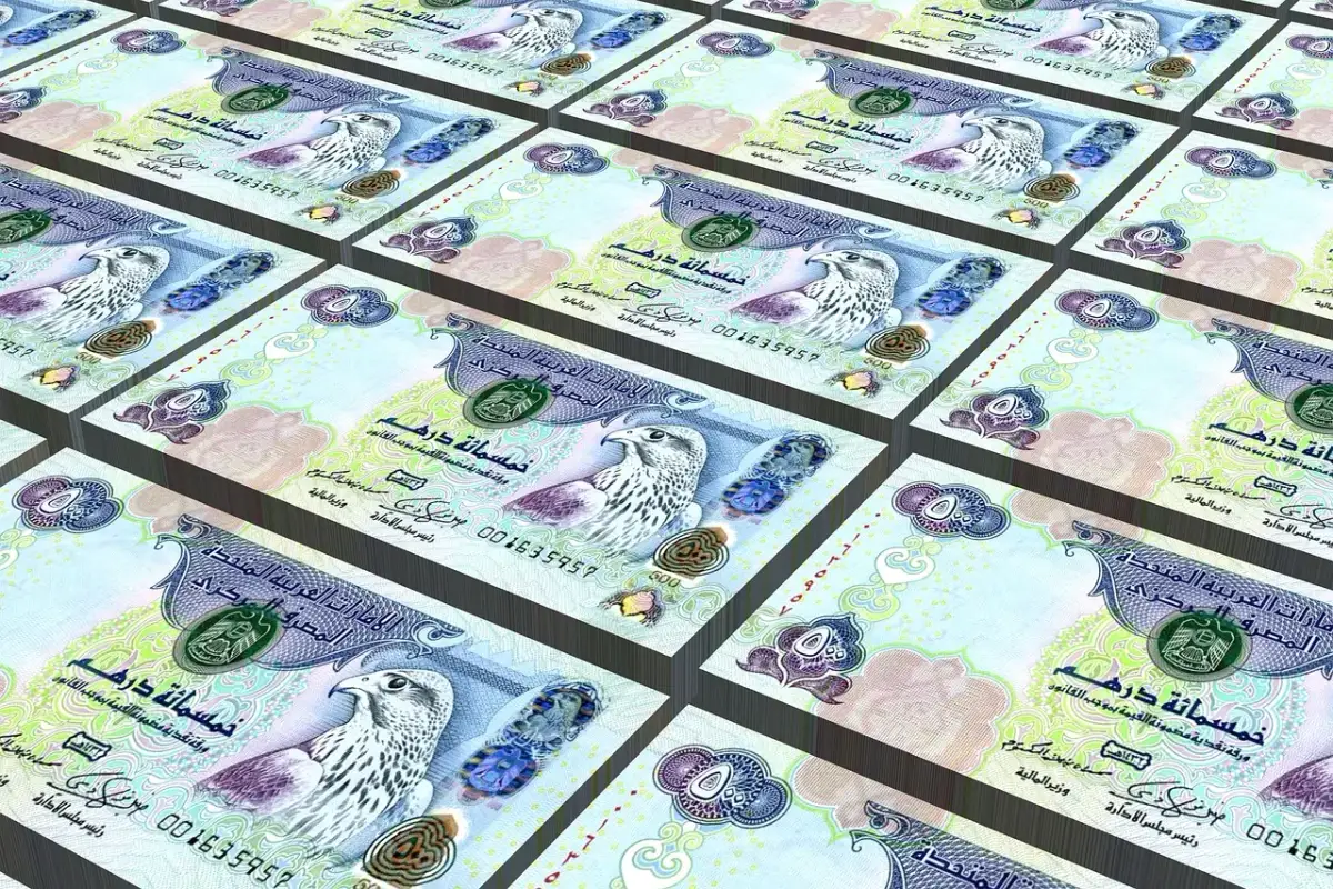 Banknoty 500 dirhamów, czyli jaka waluta w Dubaju. Widoczne są wizerunki sokołów i arabskie napisy.