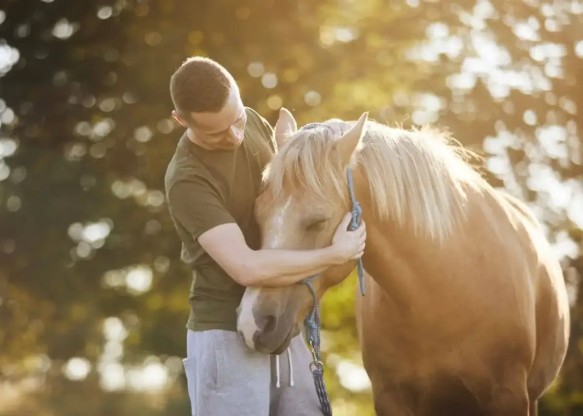 Jak dbać o konia: Kluczowe wskazówki, które uratują jego zdrowie
