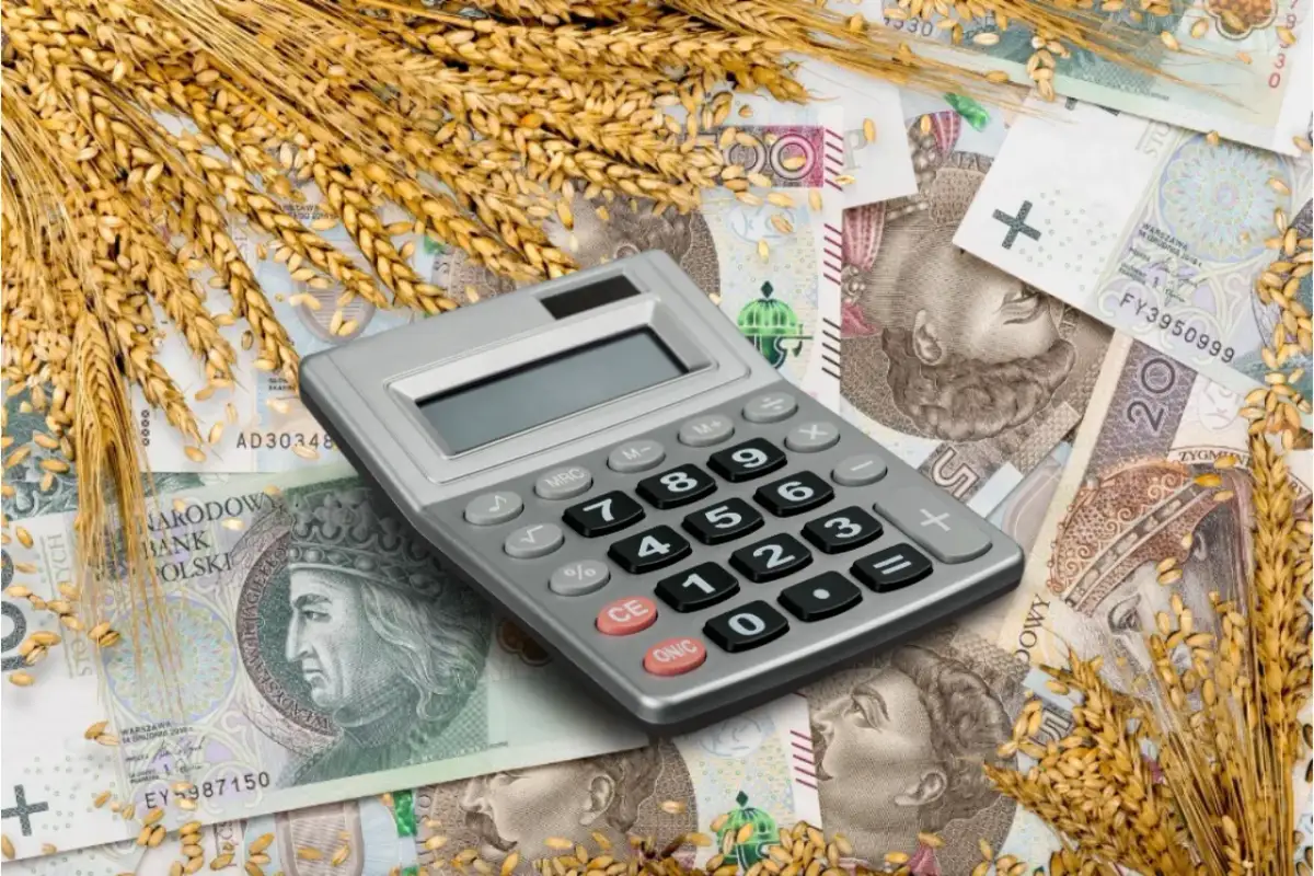 Ile wynosi dopłata do 1 ha zboża i jak uniknąć strat finansowych