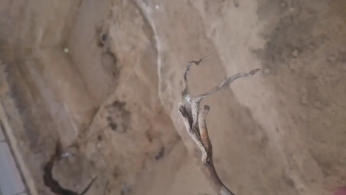 Kable w listwach? Ukryj je raz na zawsze! Poradnik Emila Michalaka