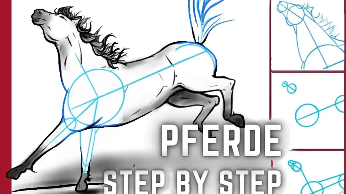 Pferde zeichnen lernen: Einfache Bleistift-Schritt-für-Schritt-Anleitung
