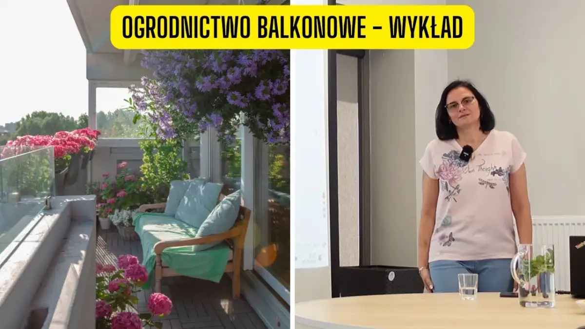 Kwiaty na balkon: Wybór, sadzenie i pielęgnacja kompletny przewodnik
