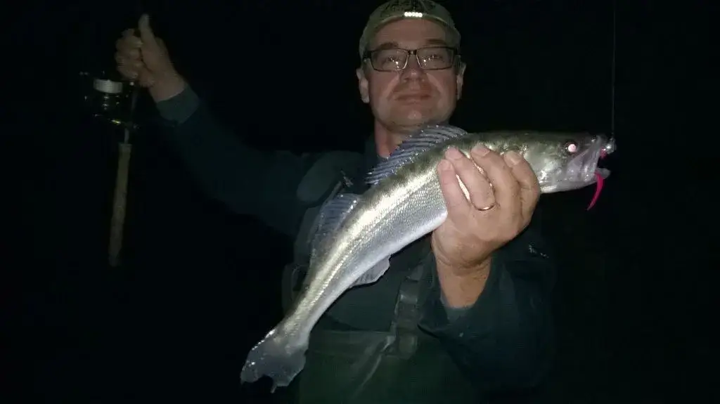 Jaką wędkę kupić na początek, aby uniknąć błędów początkującego?