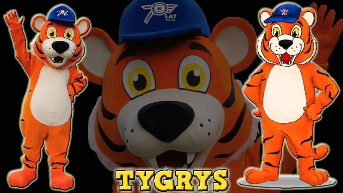 Strój tygrysa dla dzieci DIY: Zrób to sam! Proste pomysły i porady