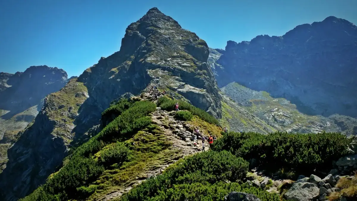 Szlak na Kościelec dla każdego, kto kocha góry. Grupa turystów wspina się kamienistą ścieżką wśród kosodrzewin.