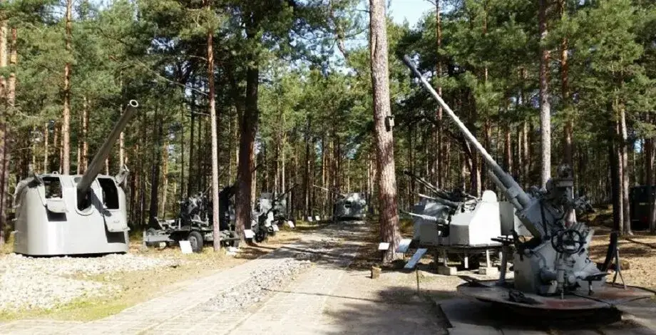 Półwysep Helski gdzie z dzieckiem - najlepsze atrakcje i porady