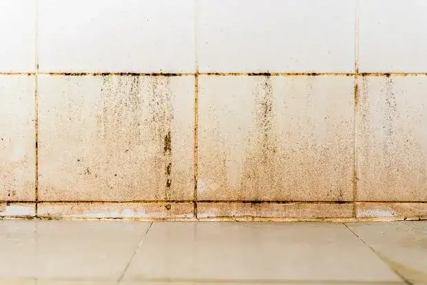 Jak wyczyścić kafelki z tłuszczu? Sprawdzone sposoby na lśniące płytki