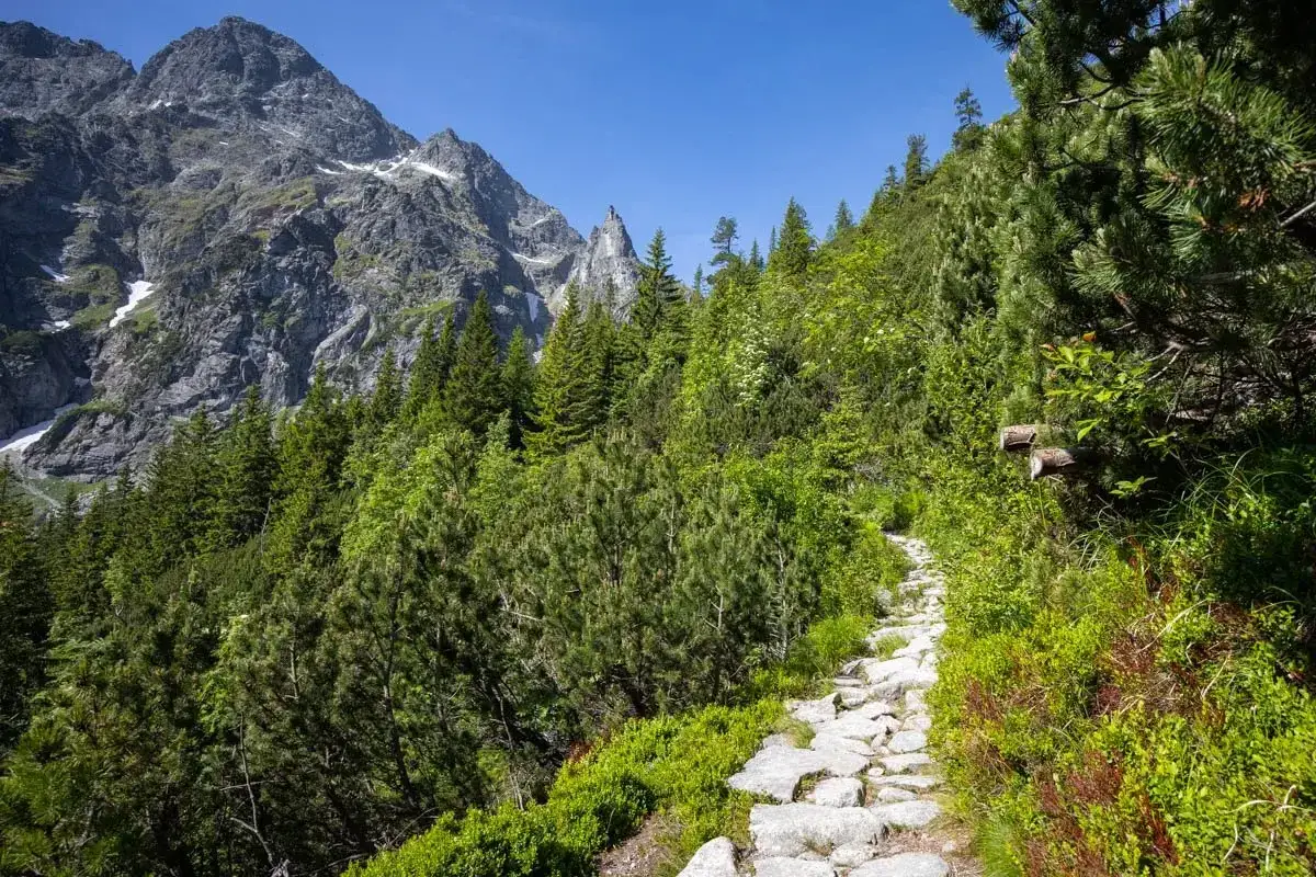 Pionierzy Tatr: Kto stworzył i znakował górskie szlaki?