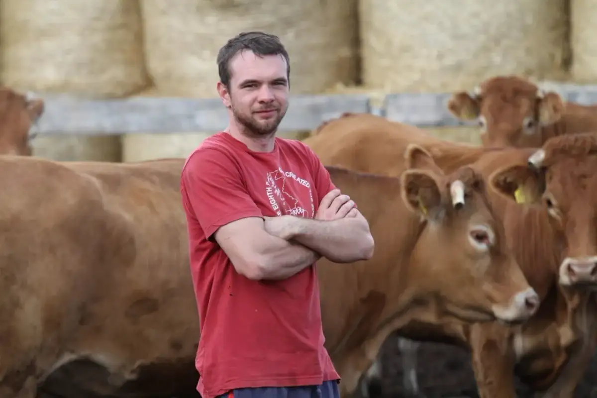 Ceny wołowiny Angus w Polsce – co musisz wiedzieć o kosztach?