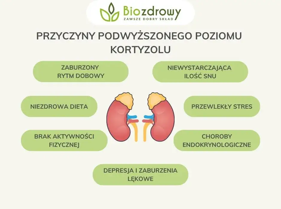 Jak obniżyć kortyzol? Poznaj objawy, przyczyny i skuteczne strategie