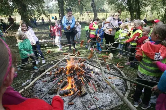 Czy można legalnie rozpalić ognisko nad jeziorem? Przepisy i praktyczne porady