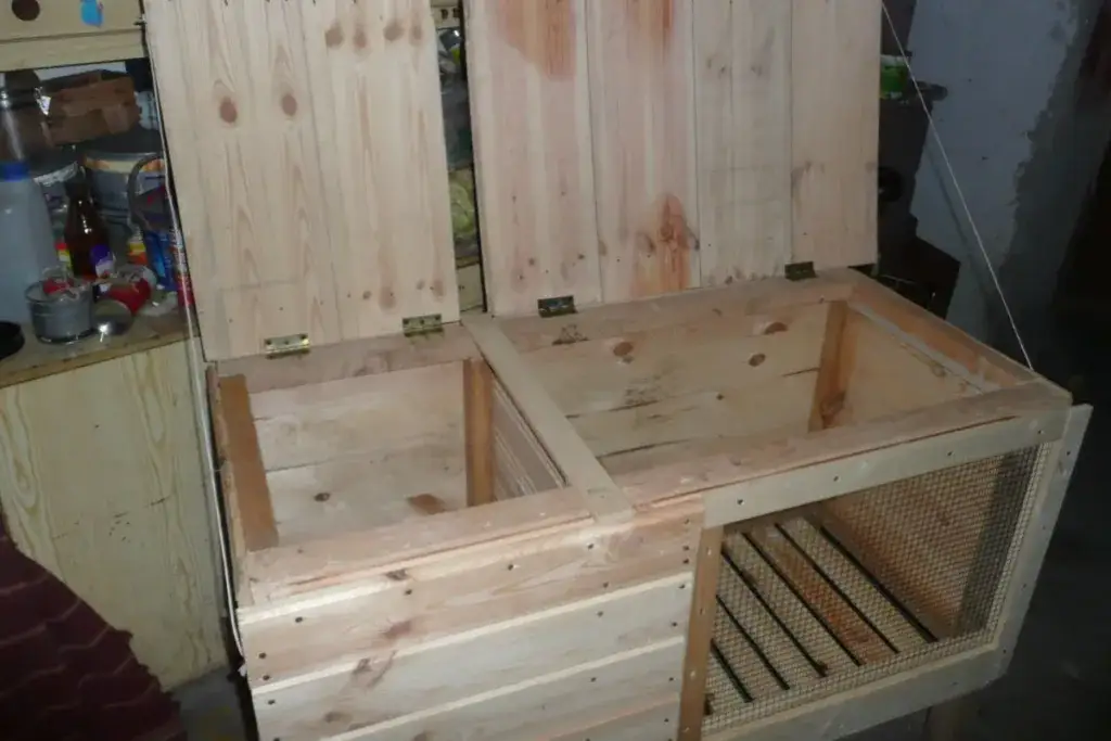 Co na dno klatki dla królika? 5 najlepszych materiałów