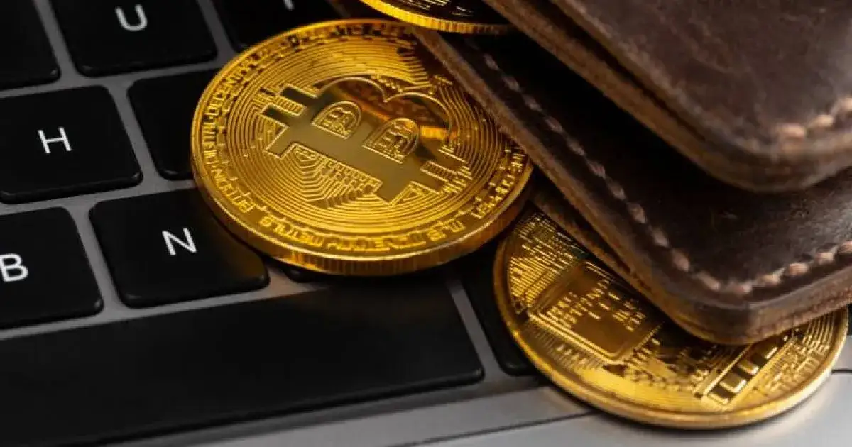 Portfele kryptowalut: Który wybrać? Bezpieczne przechowywanie krypto