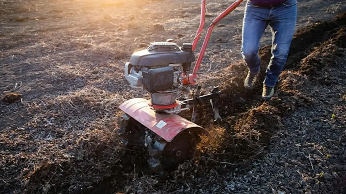 Ile kosztuje glebogryzarka? Zobacz aktualne ceny i najlepsze modele