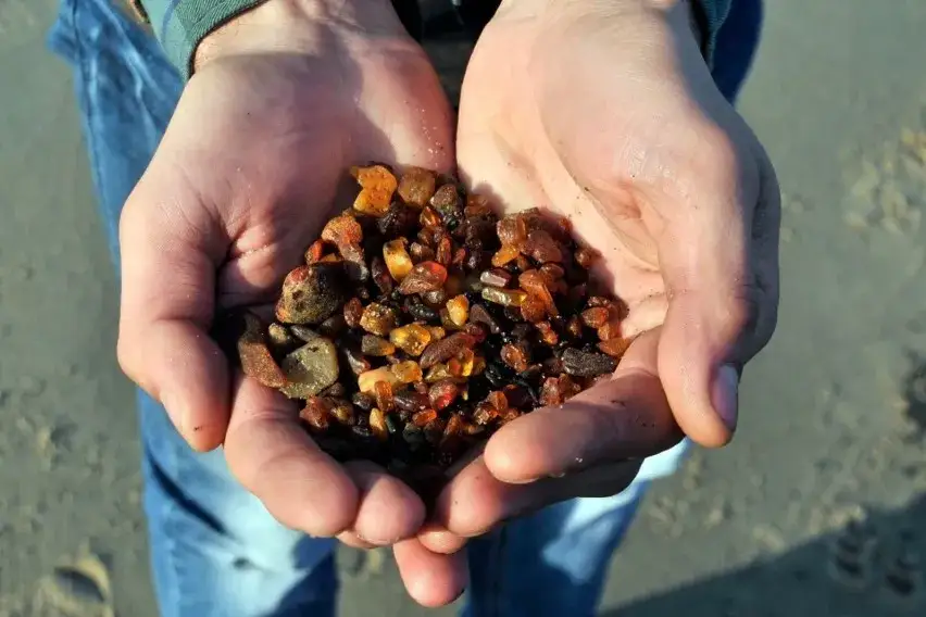 Kiedy jest sezon na bursztyny? Sprawdź najlepsze miesiące i warunki