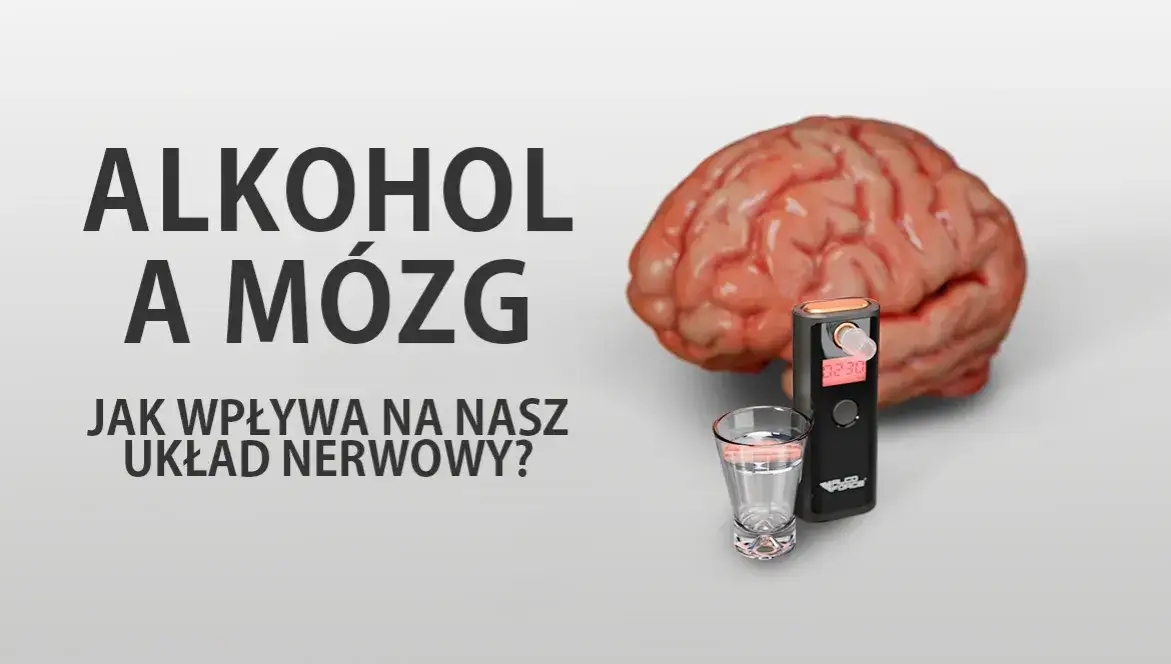 Prawda o alkoholu: Jak niszczy mózg i czy możliwa jest regeneracja?