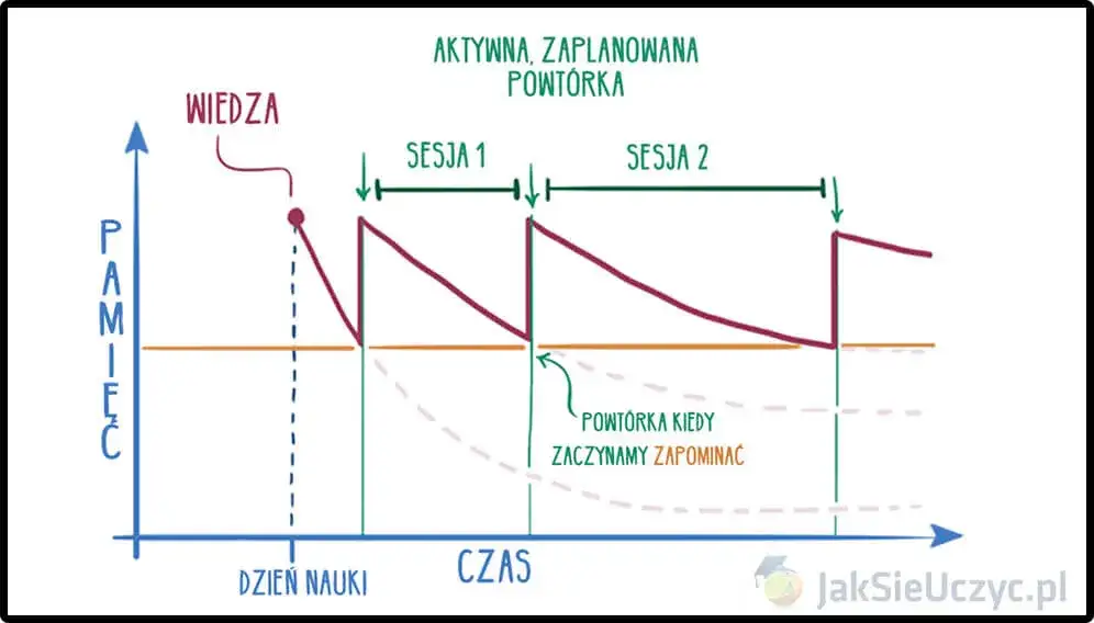 Jak skutecznie uczyć się słówek? Pokonaj krzywą zapominania!