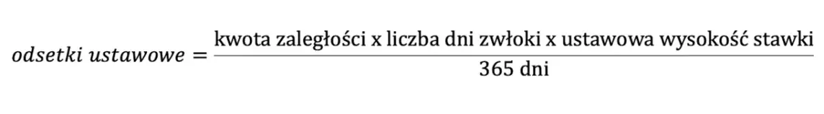 Ile wynoszą odsetki ustawowe za każdy dzień – poznaj aktualne stawki