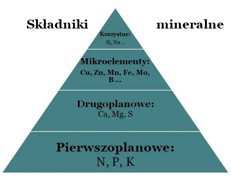 Minerały w których produkuje się nawozy fosforowe – kluczowe informacje i zagrożenia
