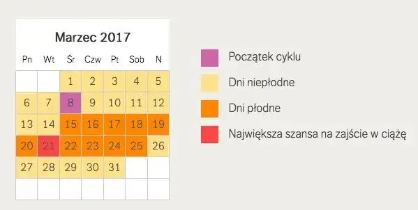 Kiedy dni płodne po porodzie? Ważne informacje dla młodych mam