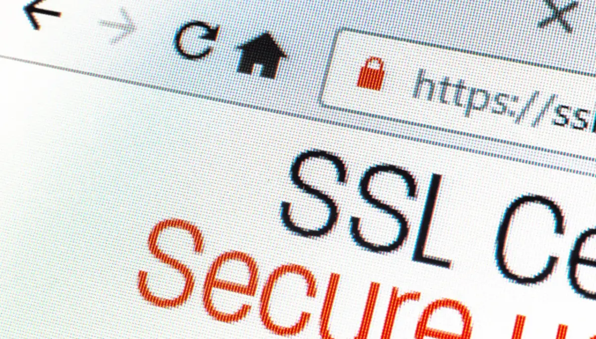 Tworzenie strony w HTML: Od zera do własnej witryny!