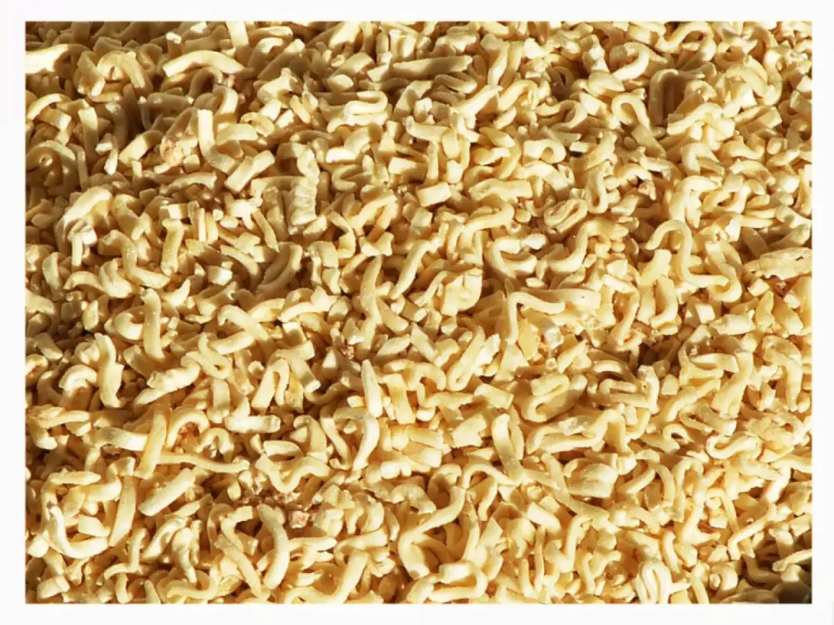 Makaron dla psa: Tak, ale z głową! Bezpieczny przewodnik