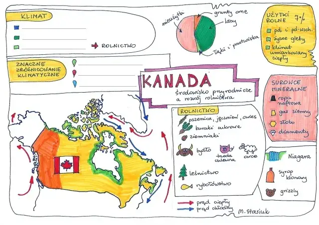 Jaki zeszyt do geografii wybrać, aby uniknąć bałaganu w notatkach?