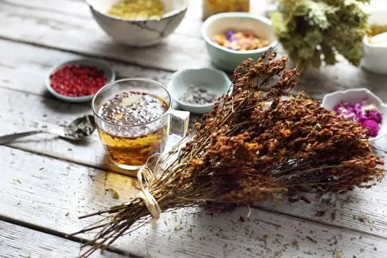 Jakie zioła na depresję skutecznie poprawiają nastrój i samopoczucie