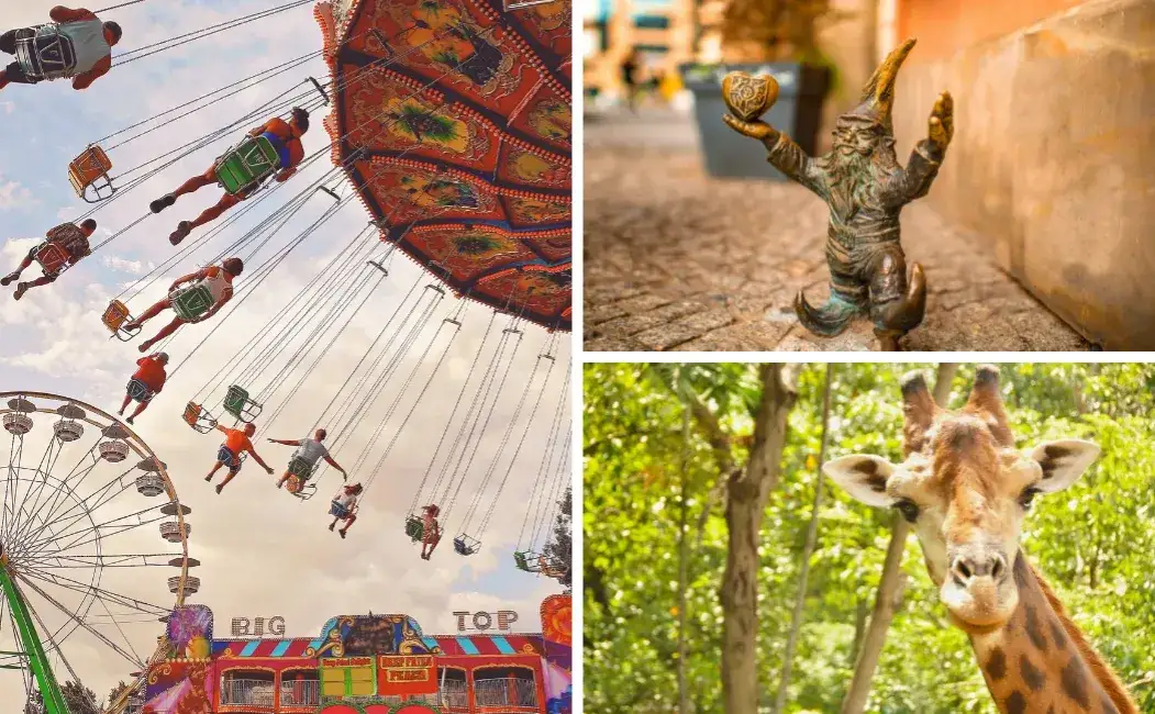 Imprezy na dolnym śląsku, które musisz zobaczyć – nie przegap ich!