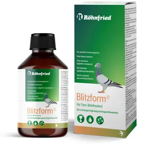 Skuteczne dopalacze dla gołębi pocztowych, które poprawią ich wyniki