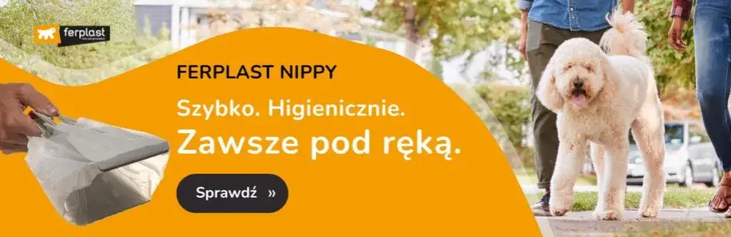 Czy trzeba sprzątać po psie w lesie? Sprawdź obowiązki właścicieli