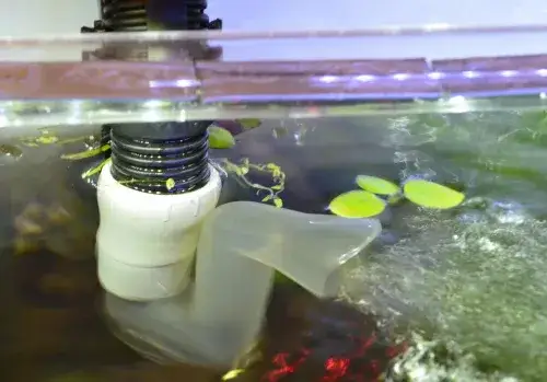 Jak ustawić deszczownicę w akwarium, aby uniknąć problemów z wodą