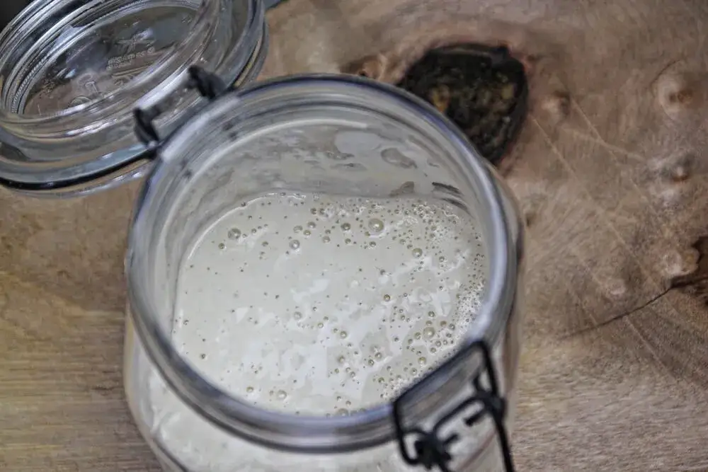 Przechowywanie zakwasu: Jak utrzymać starter w formie na lata?