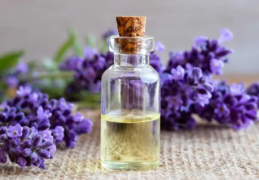 Olejek lawendowy na sen jak stosować – skuteczne metody i porady